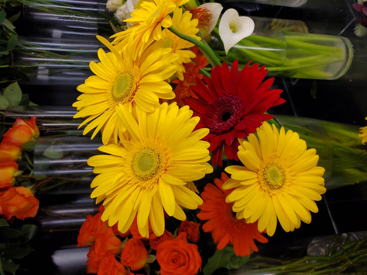 Kent Florist