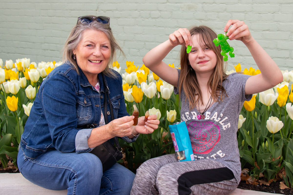 Big Brothers Big Sisters of Kawartha Lakes Haliburton