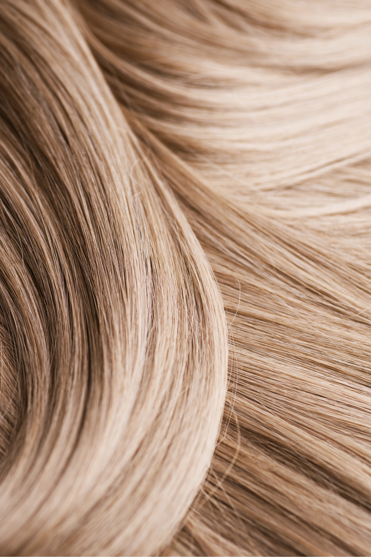 The Hair Loft