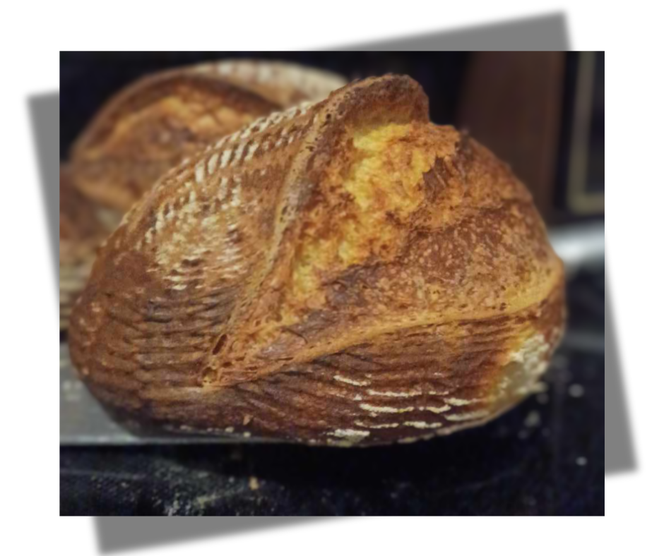 Oh So Sourdough!