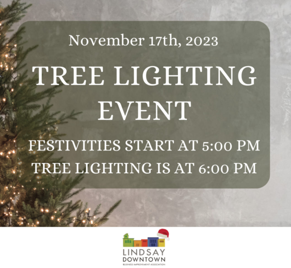 Tree Lighting
