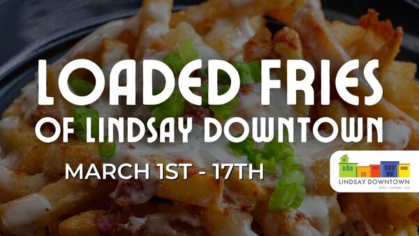 Loaded Fries of Lindsay Downtown
