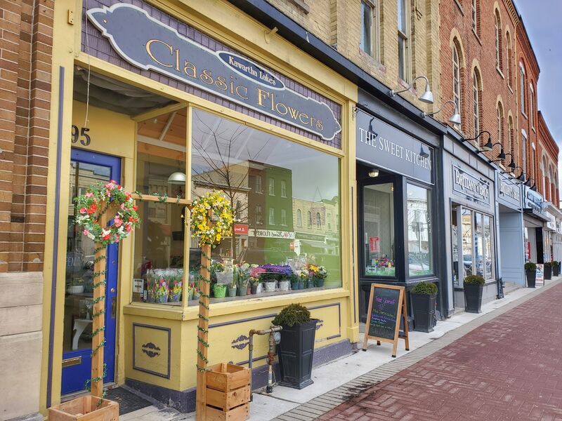 Downtown Lindsay