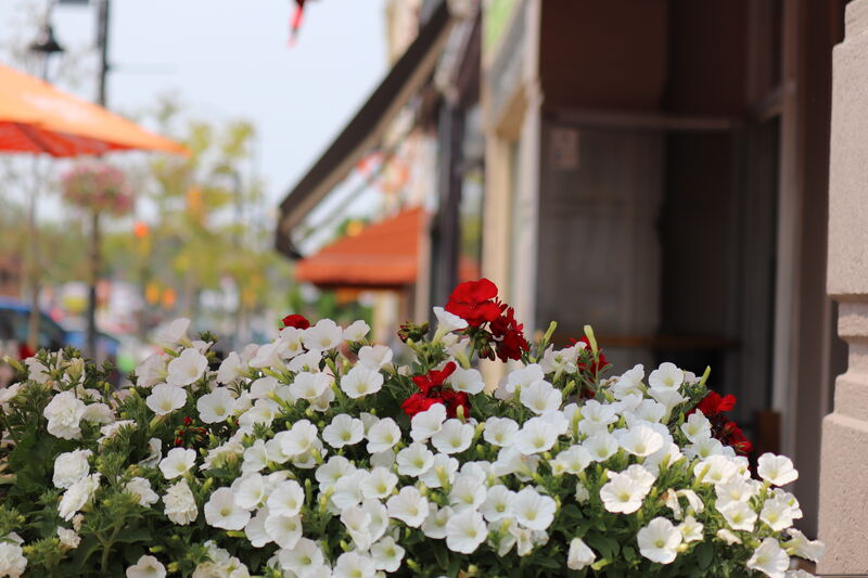 Downtown Lindsay
