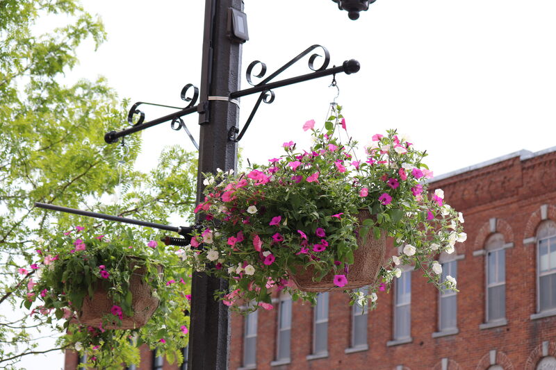 Downtown Lindsay
